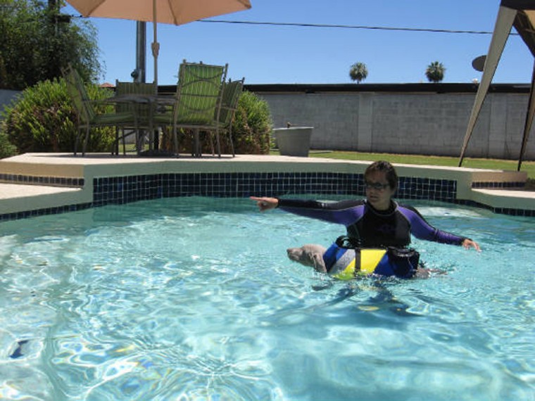 Pet swim safety